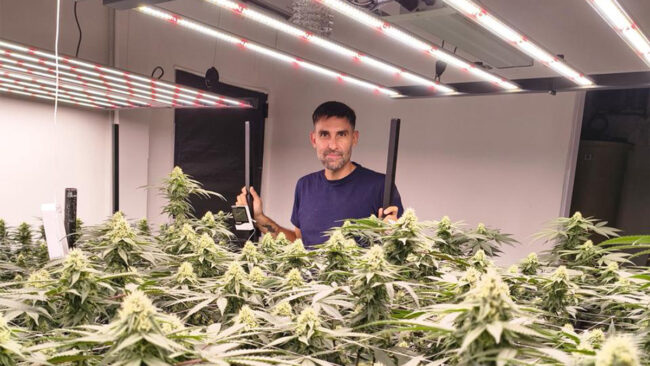 Ingeniero agrónomo realizando visita técnica en un cultivo de la provincia de Buenos Aires.